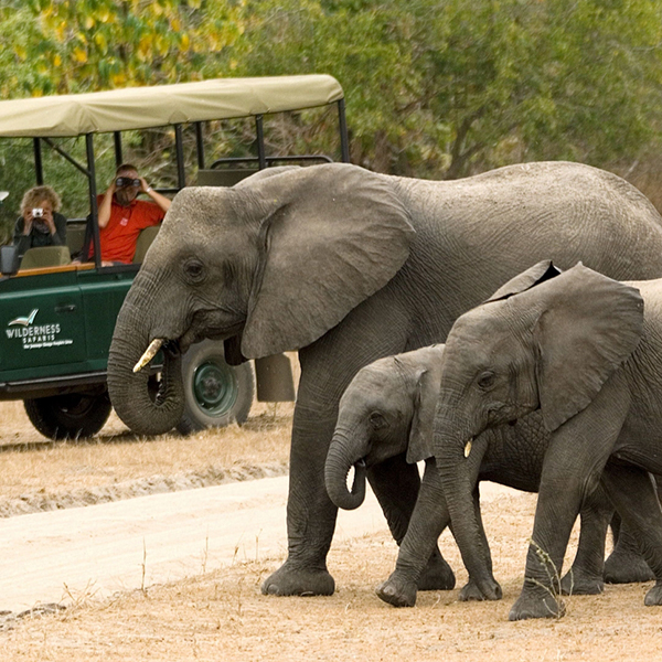 Safari and cultural heritage